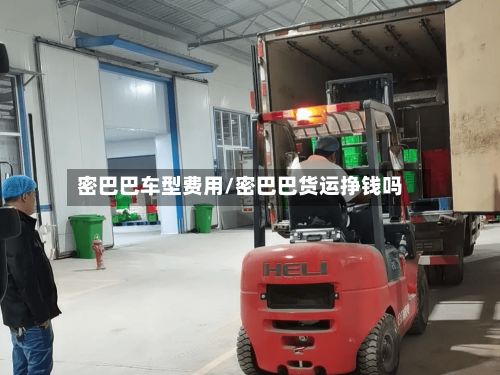 密巴巴车型费用/密巴巴货运挣钱吗-第2张图片