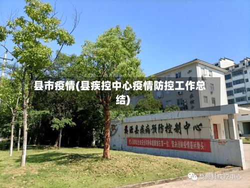 县市疫情(县疾控中心疫情防控工作总结)
