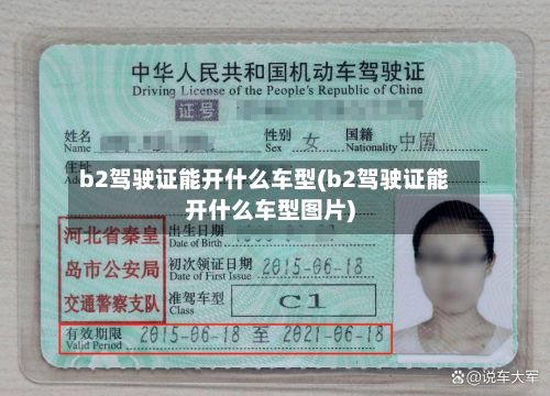 b2驾驶证能开什么车型(b2驾驶证能开什么车型图片)-第2张图片