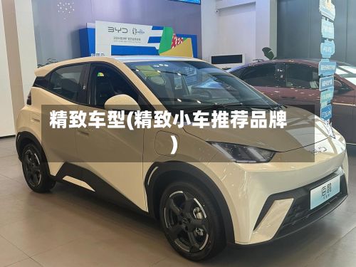 精致车型(精致小车推荐品牌)-第2张图片
