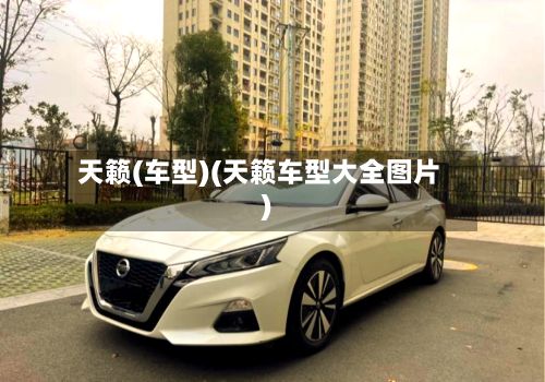 天籁(车型)(天籁车型大全图片)