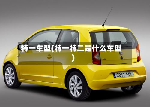 特一车型(特一特二是什么车型)