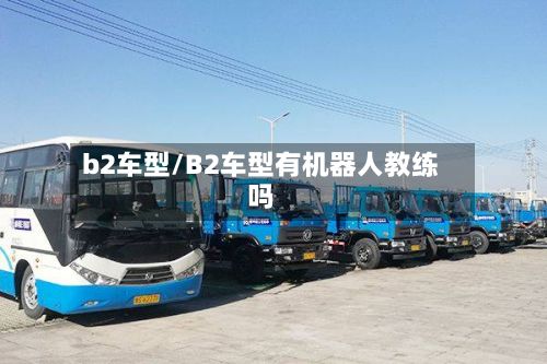 b2车型/B2车型有机器人教练吗-第2张图片