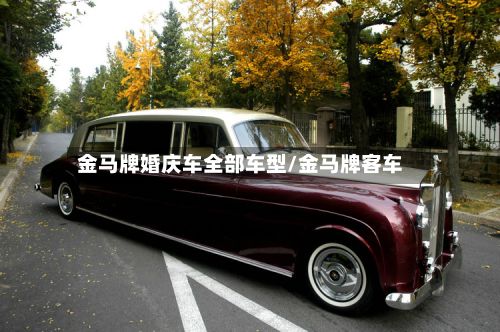 金马牌婚庆车全部车型/金马牌客车-第3张图片