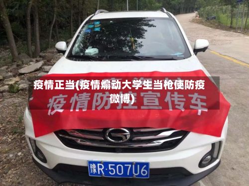 疫情正当(疫情煽动大学生当枪使防疫微博)