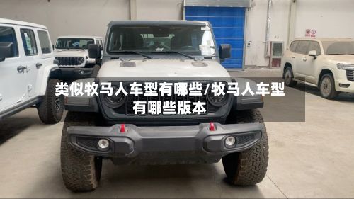类似牧马人车型有哪些/牧马人车型有哪些版本-第2张图片