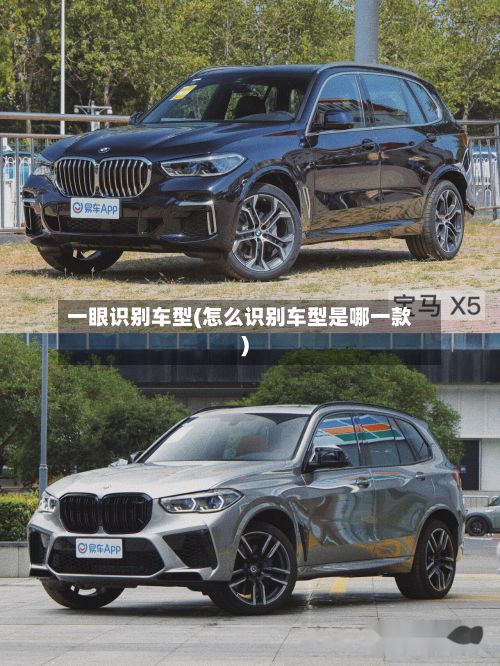 一眼识别车型(怎么识别车型是哪一款)
