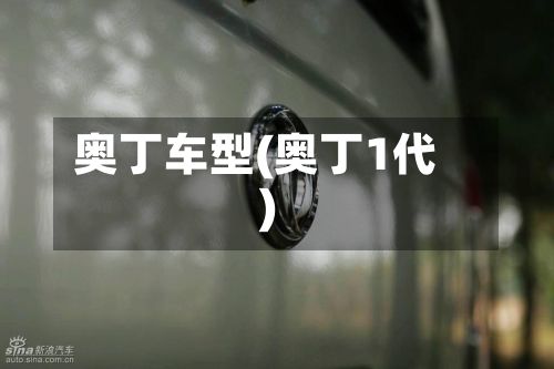 奥丁车型(奥丁1代)-第2张图片