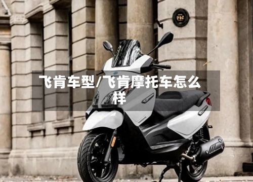 飞肯车型/飞肯摩托车怎么样