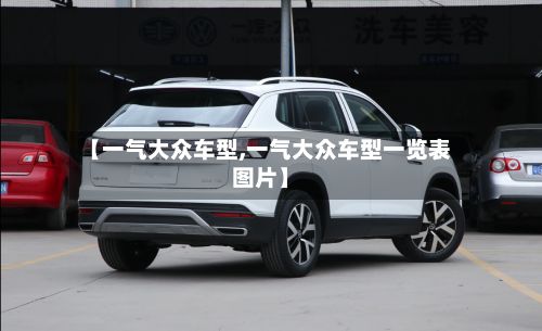 【一气大众车型,一气大众车型一览表图片】-第2张图片
