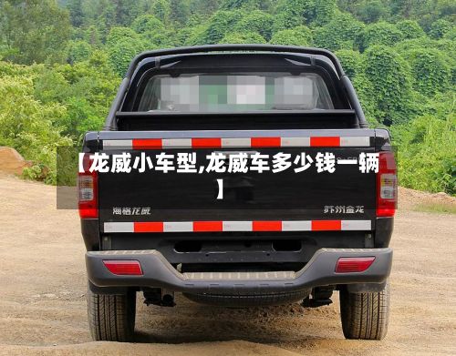 【龙威小车型,龙威车多少钱一辆】-第2张图片