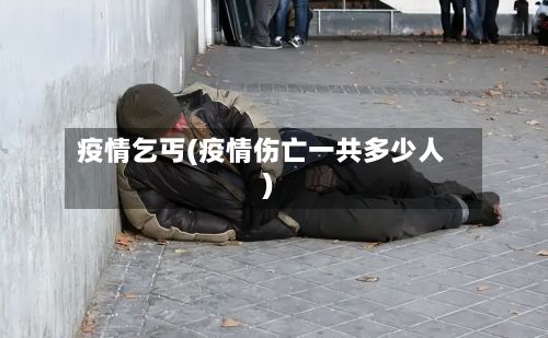 疫情乞丐(疫情伤亡一共多少人)-第3张图片