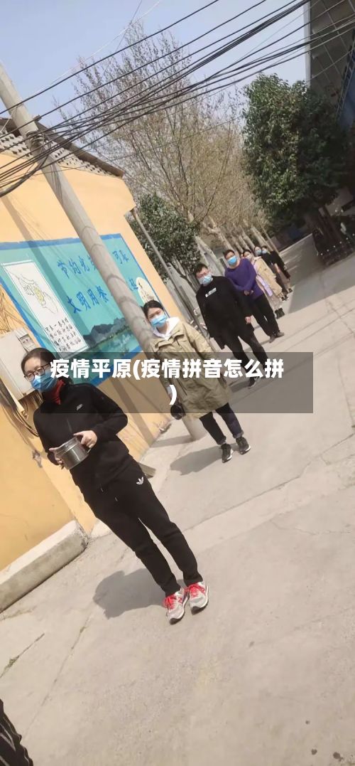 疫情平原(疫情拼音怎么拼)-第3张图片