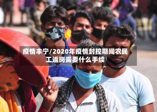 疫情丰宁/2020年疫情封控期间农民工返岗需要什么手续-第3张图片