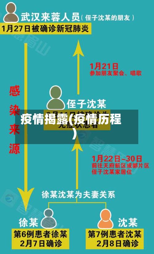 疫情揭露(疫情历程)-第2张图片