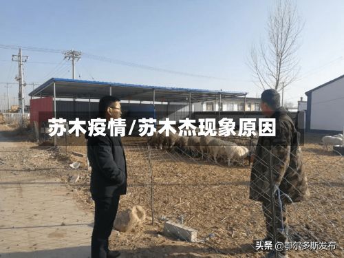 苏木疫情/苏木杰现象原因-第2张图片