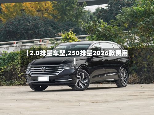 【2.0排量车型,250排量2026款费用】