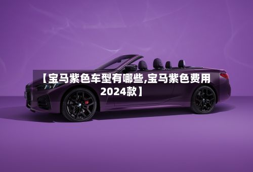 【宝马紫色车型有哪些,宝马紫色费用2024款】-第2张图片