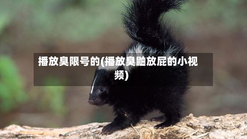 播放臭限号的(播放臭鼬放屁的小视频)-第2张图片