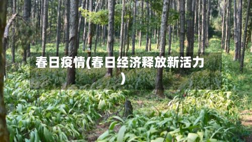 春日疫情(春日经济释放新活力)-第2张图片