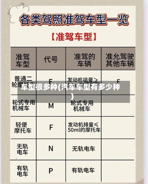 车型很多种(汽车车型有多少种)