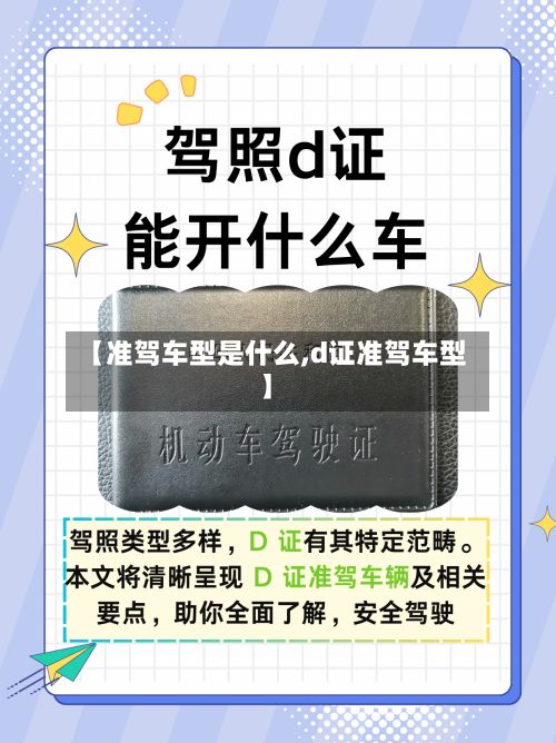【准驾车型是什么,d证准驾车型】-第2张图片