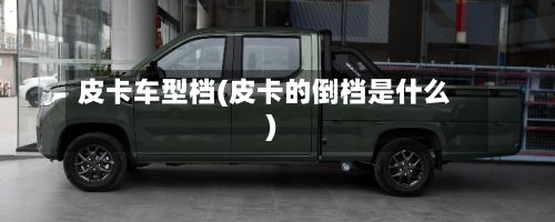皮卡车型档(皮卡的倒档是什么)