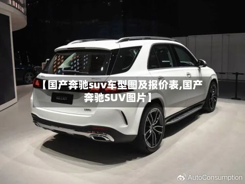 【国产奔驰suv车型图及报价表,国产奔驰SUV图片】