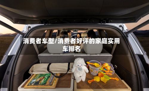 消费者车型/消费者好评的家庭实用车排名-第3张图片