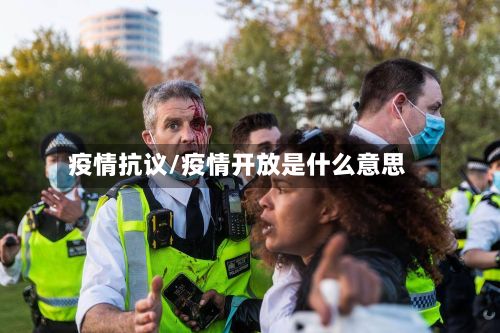 疫情抗议/疫情开放是什么意思