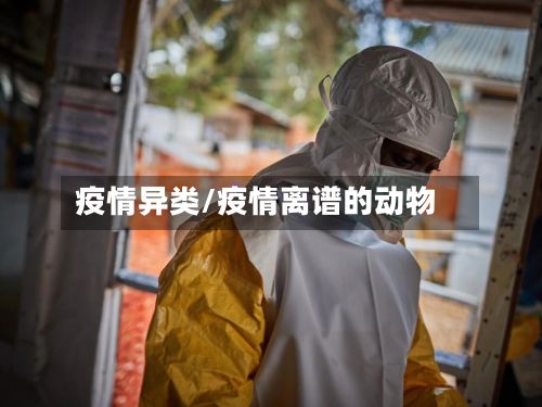 疫情异类/疫情离谱的动物-第2张图片