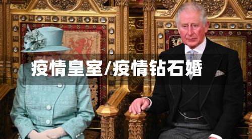 疫情皇室/疫情钻石婚-第2张图片