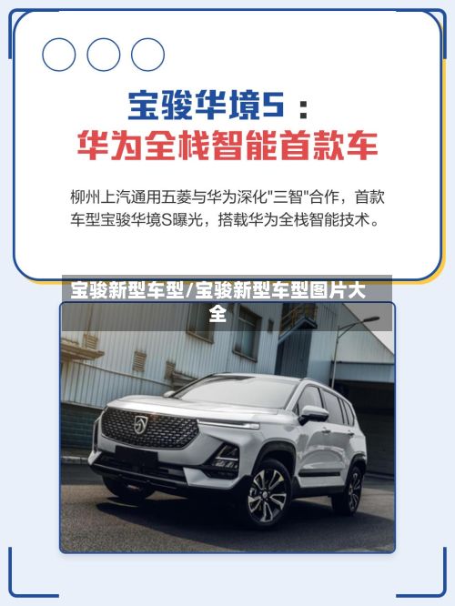 宝骏新型车型/宝骏新型车型图片大全-第2张图片