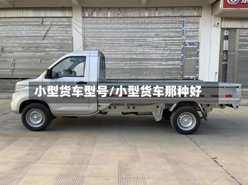 小型货车型号/小型货车那种好