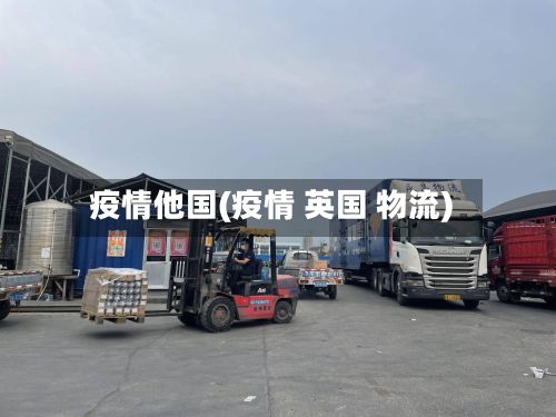 疫情他国(疫情 英国 物流)
