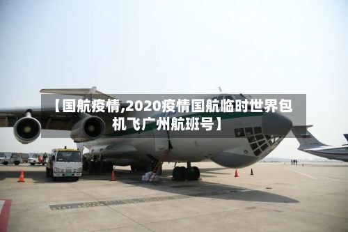 【国航疫情,2020疫情国航临时世界包机飞广州航班号】-第3张图片