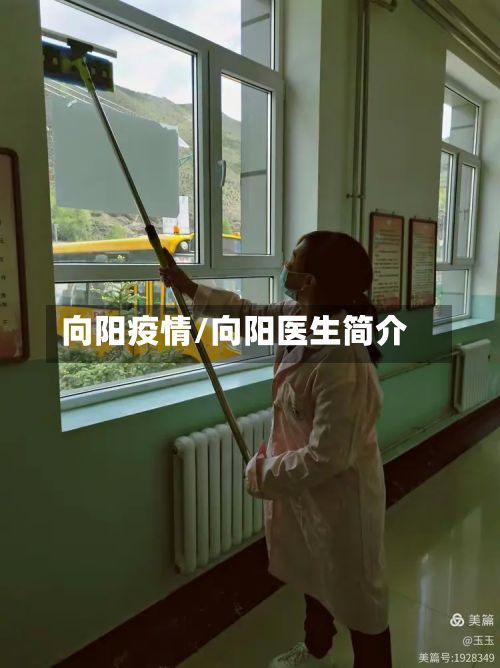 向阳疫情/向阳医生简介