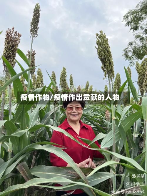 疫情作物/疫情作出贡献的人物-第2张图片