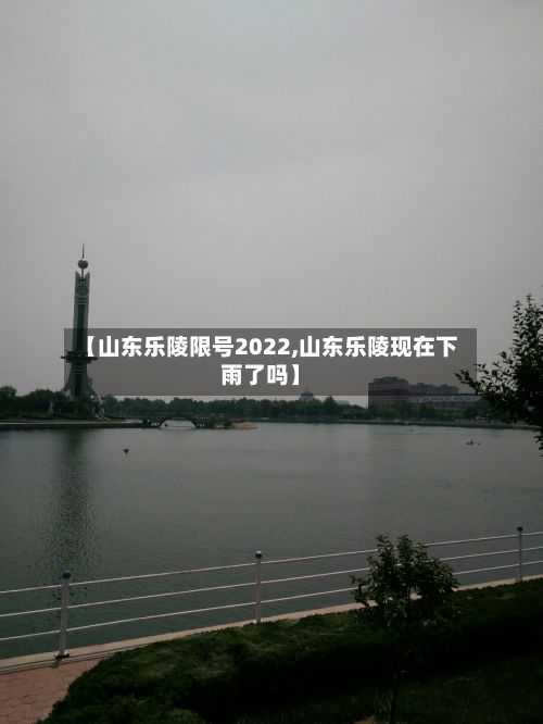 【山东乐陵限号2022,山东乐陵现在下雨了吗】-第2张图片