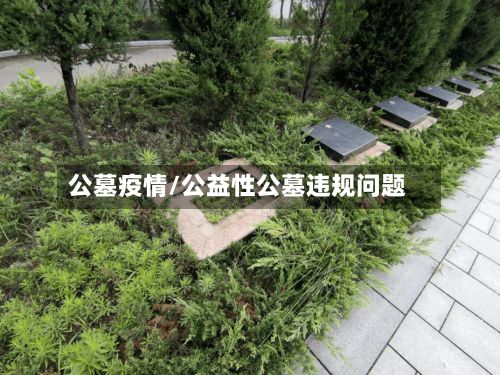 公墓疫情/公益性公墓违规问题