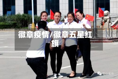 徽章疫情/徽章五星红旗