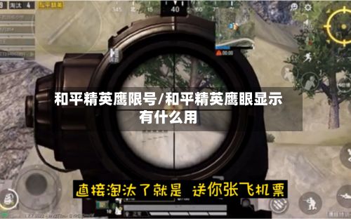 和平精英鹰限号/和平精英鹰眼显示有什么用