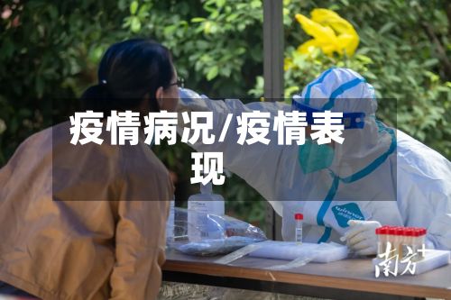 疫情病况/疫情表现