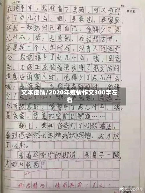 文本疫情/2020年疫情作文300字左右