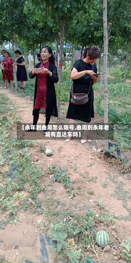 【永年到曲周怎么限号,曲周到永年老城有直达车吗】-第3张图片