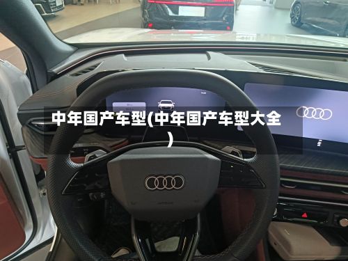 中年国产车型(中年国产车型大全)-第3张图片