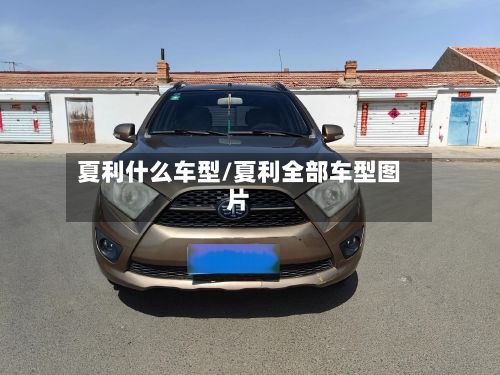 夏利什么车型/夏利全部车型图片-第2张图片