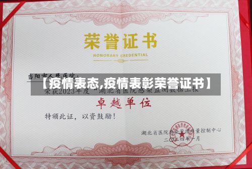 【疫情表态,疫情表彰荣誉证书】