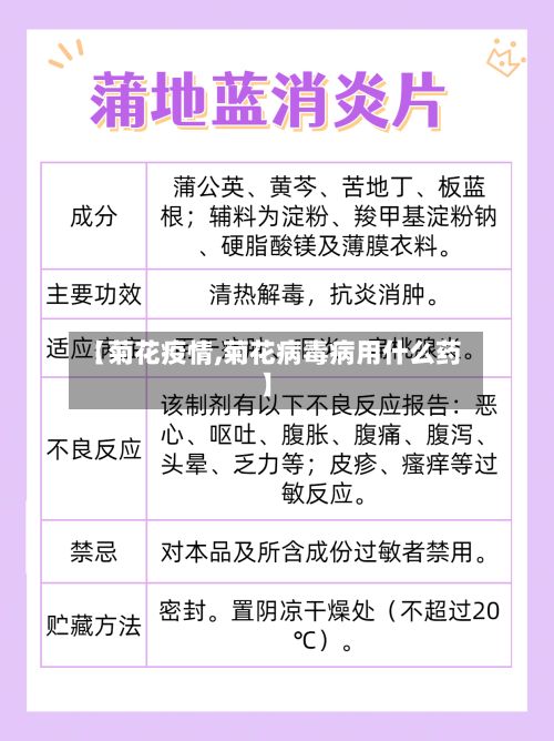 【菊花疫情,菊花病毒病用什么药】