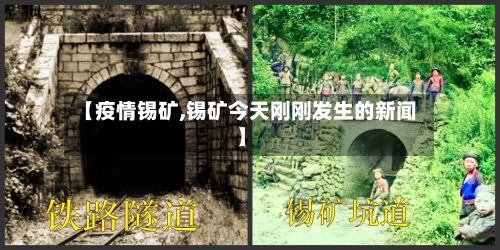 【疫情锡矿,锡矿今天刚刚发生的新闻】